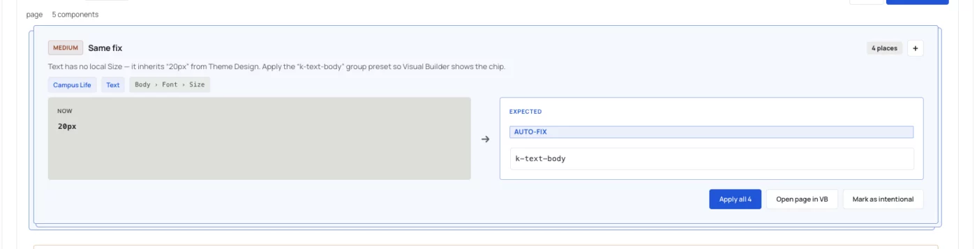 Design Audit Issue
